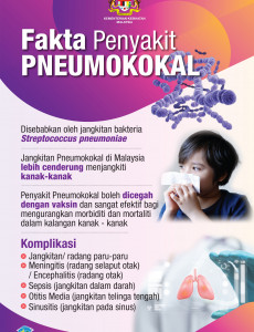 Fakta Penyakit Pneumokokal